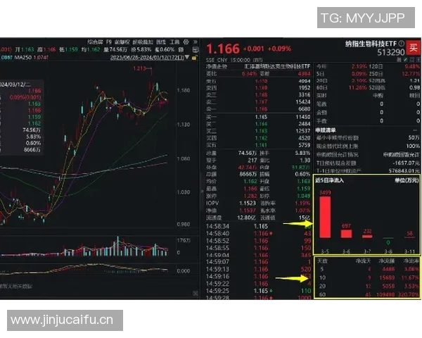 技术统计：VAR近5场表现一览